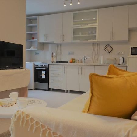 Spacious 2-Bedroom Apartment With Luxury Feel Novi Sad Dış mekan fotoğraf