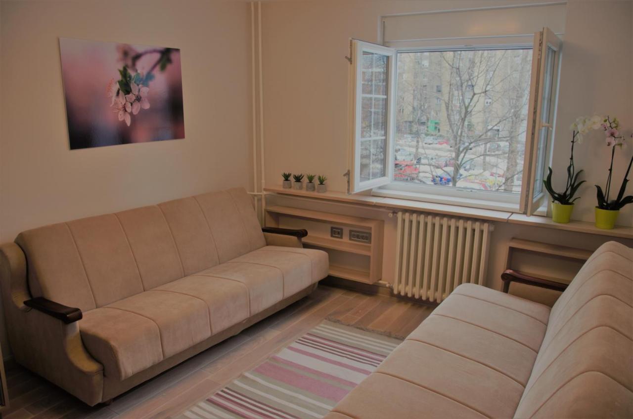 Spacious 2-Bedroom Apartment With Luxury Feel Novi Sad Dış mekan fotoğraf